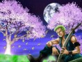 /album/one-piece/a4e4a003dd4ac7-jpg/